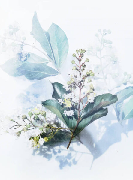 artist-course-02